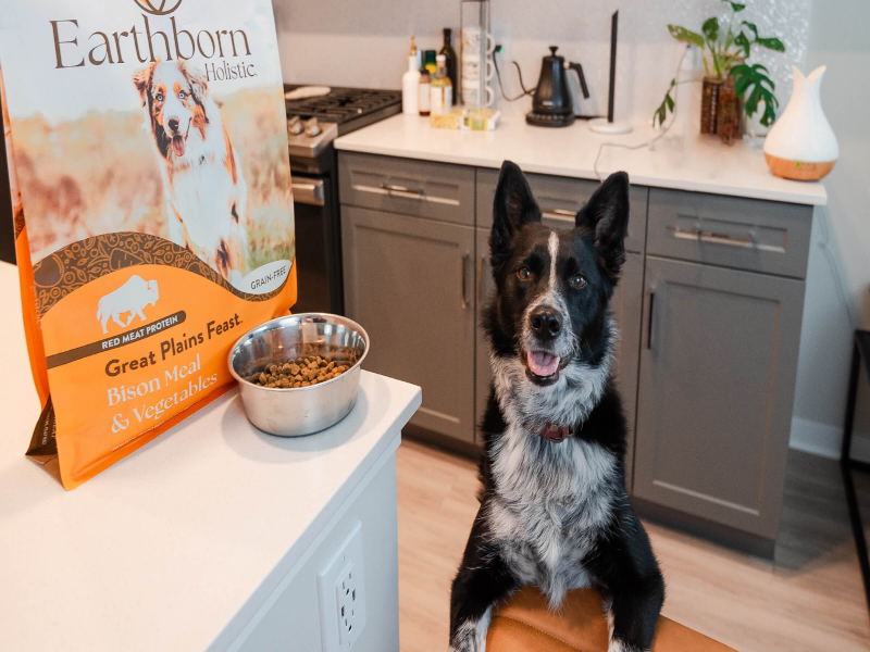 Understanding Food Labels for Senior Dog Food