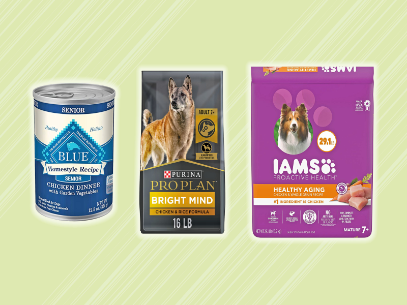 Understanding Food Labels for Senior Dog Food