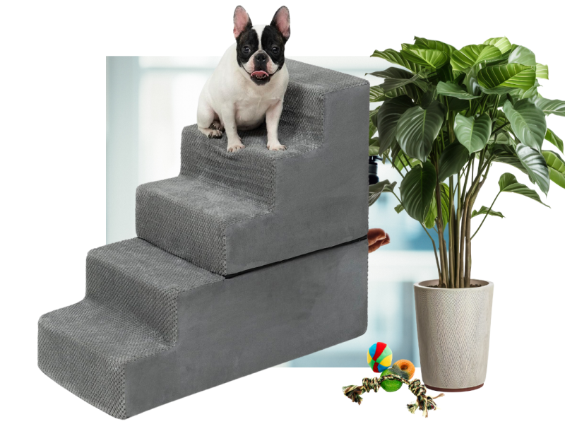 Ramps and Stairs for Senior French Bulldogs