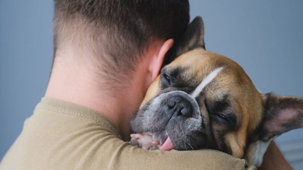 Euthanasia for French Bulldogs